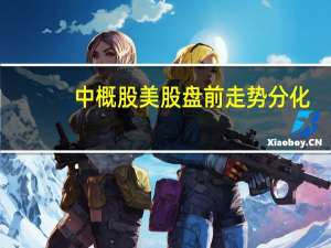 中概股美股盘前走势分化