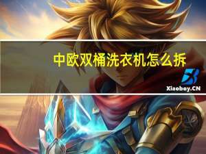 中欧双桶洗衣机怎么拆