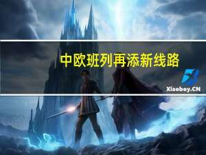 中欧班列（武汉）再添新线路