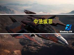 中法埃菲（关于中法埃菲的介绍）