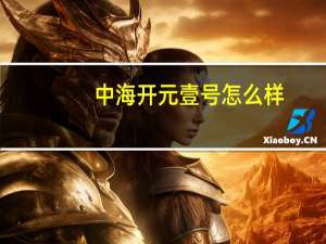 中海开元壹号怎么样