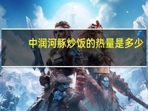 中润 河豚炒饭的热量是多少