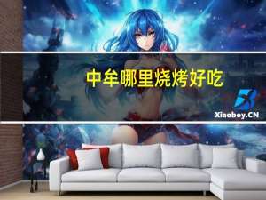 中牟哪里烧烤好吃