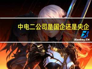 中电二公司是国企还是央企