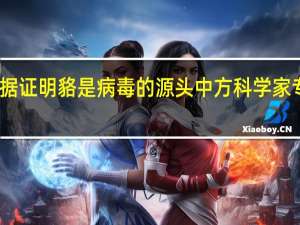 中疾控现在远远没有足够的证据证明貉是病毒的源头 中方科学家专家认为新冠最有可能的起源是什么