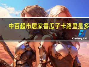 中百超市 居家 香瓜子卡路里是多少