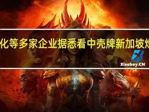 中石化等多家企业据悉看中壳牌新加坡炼油厂壳牌：已启动相关资产战略评估
