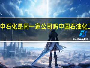 中石油和中石化是同一家公司吗 中国石油化工股份有限公司