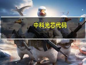 中科光芯代码