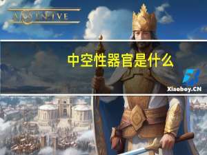 中空性器官是什么