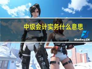 中级会计实务什么意思