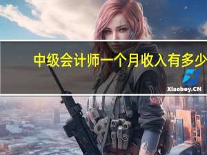 中级会计师一个月收入有多少