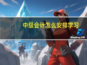 中级会计怎么安排学习