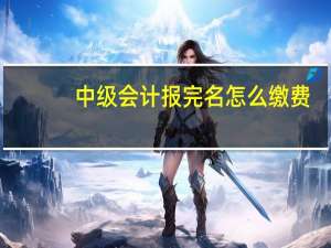 中级会计报完名怎么缴费
