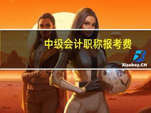 中级会计职称报考费