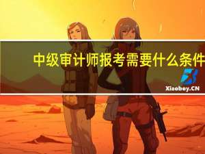中级审计师报考需要什么条件