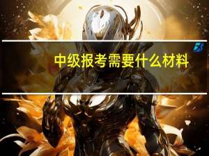 中级报考需要什么材料