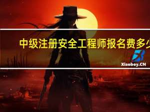 中级注册安全工程师报名费多少