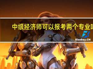 中级经济师可以报考两个专业吗