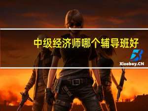 中级经济师哪个辅导班好