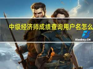 中级经济师成绩查询用户名怎么填
