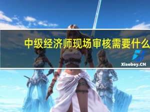 中级经济师现场审核需要什么
