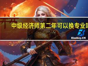 中级经济师第二年可以换专业吗