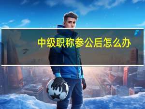中级职称参公后怎么办