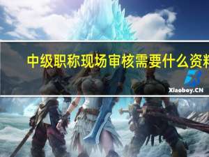 中级职称现场审核需要什么资料