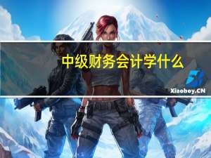 中级财务会计学什么