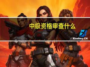 中级资格审查什么