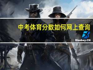 中考体育分数如何网上查询