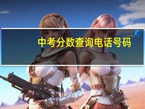 中考分数查询电话号码