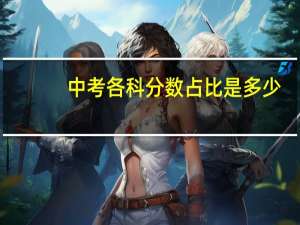中考各科分数占比是多少