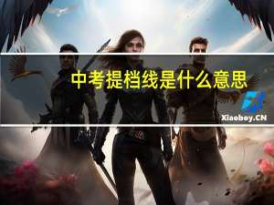 中考提档线是什么意思