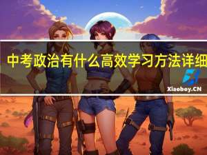 中考政治有什么高效学习方法详细介绍