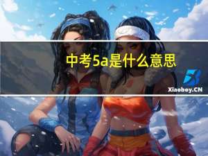 中考5a是什么意思