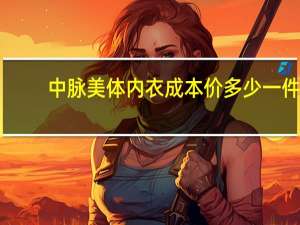 中脉美体内衣成本价多少一件（中脉美体内衣价目表）