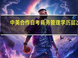 中英合作自考商务管理学历层次