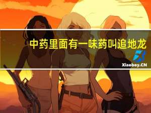 中药里面有一味药叫 追地龙