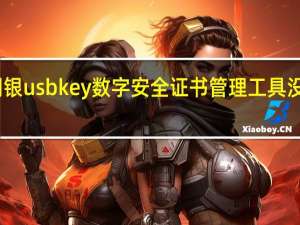 中行网银usbkey数字安全证书管理工具没有转账功能