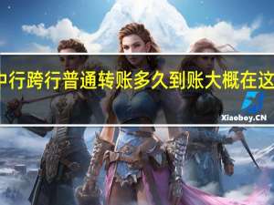 中行跨行普通转账多久到账 大概在这时间内