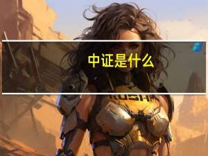 中证是什么