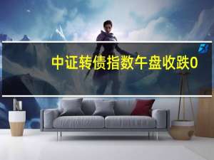 中证转债指数午盘收跌0.50%天康转债涨超9%普利转债、东湖转债涨超8%大叶转债、上声转债均跌超16%宏昌转债跌超12%