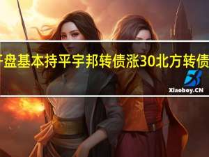 中证转债指数开盘基本持平宇邦转债涨30%北方转债涨超3%鸿达转债跌超5%