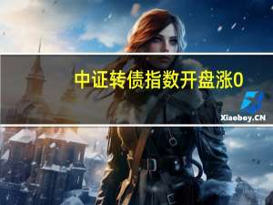 中证转债指数开盘涨0.01%海泰转债涨超2%大元转债、纽泰转债、沿浦转债、宏昌转债涨超1%