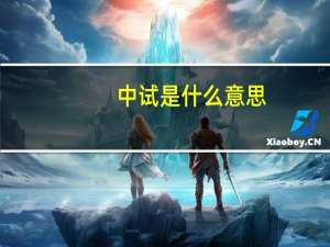 中试是什么意思