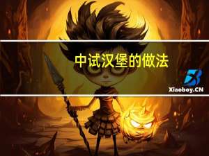 中试汉堡的做法（汉堡的做法）