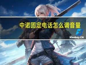中诺固定电话怎么调音量