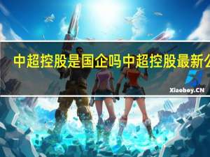 中超控股是国企吗 中超控股最新公告